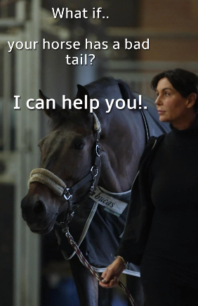 Video laden: Paardenextensions demo video